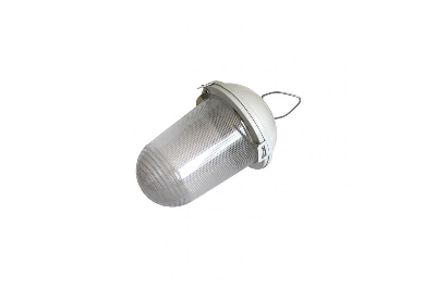 Светильник НСП 02-100-001 без решетки Желудь сталь / стекло IP54 E27 max 100Вт 170х260 белый